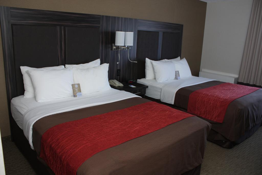 Motel Comfort 3*