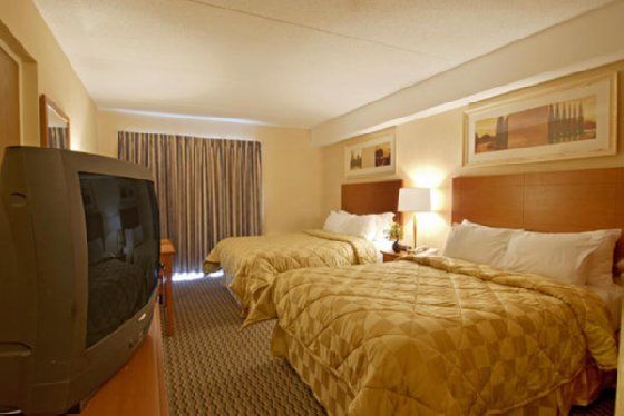Comfort 3* Trenton